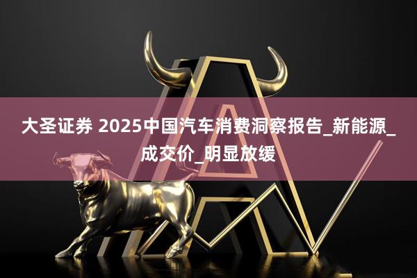 大圣证券 2025中国汽车消费洞察报告_新能源_成交价_明显放缓