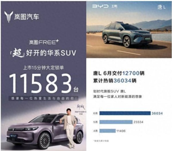 策略红 同为爆款单品，岚图FREE+和唐L DM该怎么选？