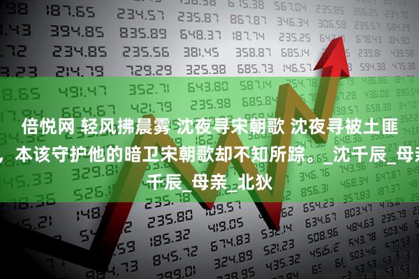 倍悦网 轻风拂晨雾 沈夜寻宋朝歌 沈夜寻被土匪劫走时，本该守护他的暗卫宋朝歌却不知所踪。_沈千辰_母亲_北狄