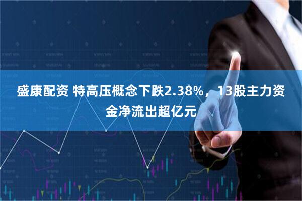 盛康配资 特高压概念下跌2.38%，13股主力资金净流出超亿元