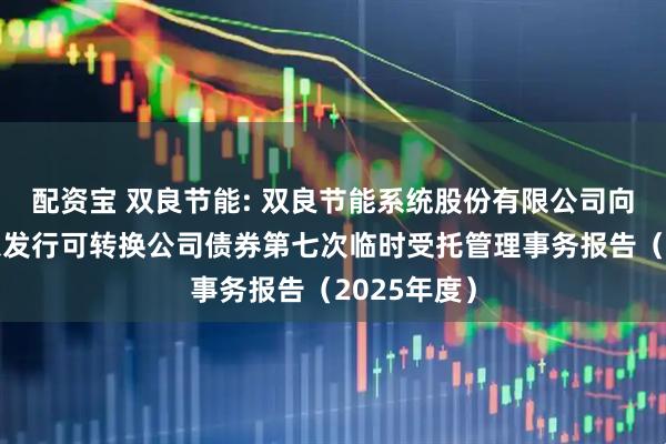 配资宝 双良节能: 双良节能系统股份有限公司向不特定对象发行可转换公司债券第七次临时受托管理事务报告（2025年度）