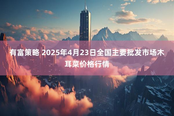 有富策略 2025年4月23日全国主要批发市场木耳菜价格行情