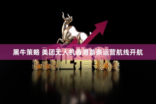 黑牛策略 美团无人机香港首条运营航线开航