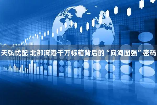 天弘忧配 北部湾港千万标箱背后的“向海图强”密码